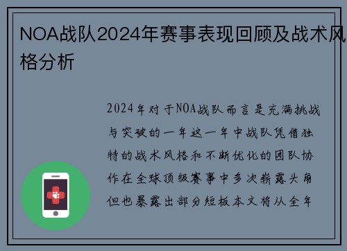 NOA战队2024年赛事表现回顾及战术风格分析