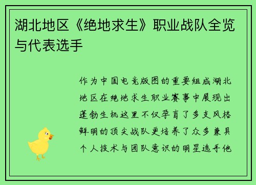湖北地区《绝地求生》职业战队全览与代表选手